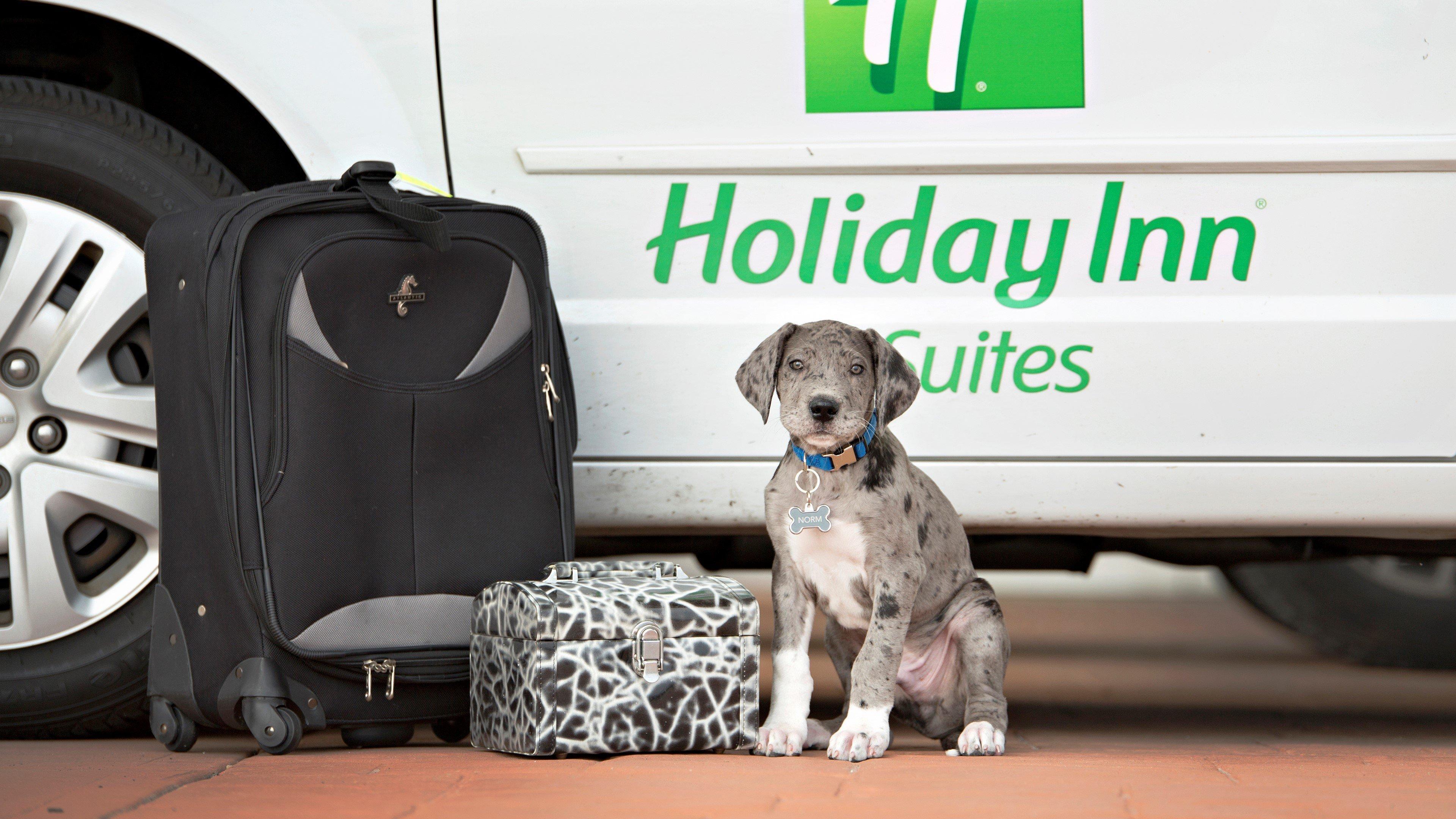 Holiday Inn Hotel & Suites Bloomington Airport By Ihg Buitenkant foto